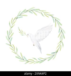 Aquarelle colombe blanche et branches d'olivier. Oiseaux blancs dans une couronne de laurier. Pince à pigeon Illustration dessinée à la main isolée sur fond. Décoratif de Banque D'Images