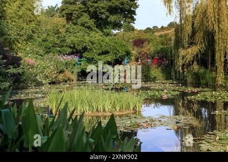 GIVERNY, FRANCE - 31 AOÛT 2019 : il s'agit du célèbre étang aux nénuphars dans le jardin aquatique du Musée du domaine Claude Monet. Banque D'Images