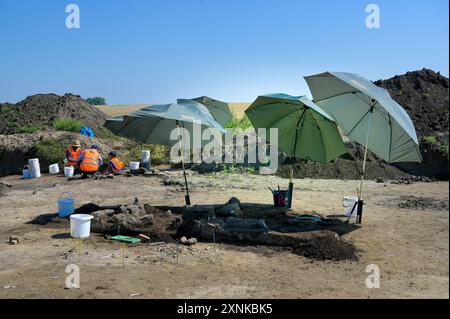 01 août 2024, Saxe-Anhalt, Löbejün : des archéologues ont découvert un village slave vieux de 1000 ans avec un cimetière complet. 60 sépultures ont été découvertes en deux rangées. Les fouilles ont lieu sur la future ligne de courant continu SuedOstLink. Photo : Heiko Rebsch/dpa crédit : dpa Picture alliance/Alamy Live News Banque D'Images