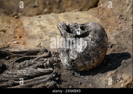 01 août 2024, Saxe-Anhalt, Löbejün : des archéologues ont découvert un village slave vieux de 1000 ans avec un cimetière complet. 60 sépultures ont été découvertes en deux rangées. Les fouilles ont lieu sur la future ligne de courant continu SuedOstLink. Photo : Heiko Rebsch/dpa crédit : dpa Picture alliance/Alamy Live News Banque D'Images