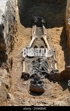 01 août 2024, Saxe-Anhalt, Löbejün : des archéologues ont découvert un village slave vieux de 1000 ans avec un cimetière complet. 60 sépultures ont été découvertes en deux rangées. Les fouilles ont lieu sur la future ligne de courant continu SuedOstLink. Photo : Heiko Rebsch/dpa crédit : dpa Picture alliance/Alamy Live News Banque D'Images