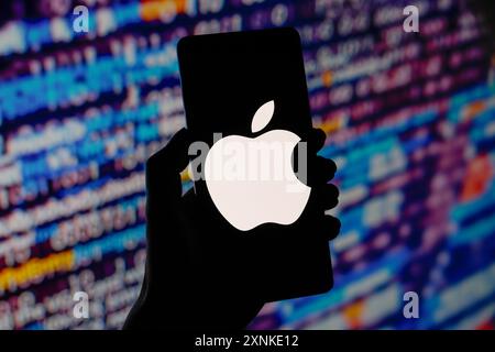 Paraguay. 01 août 2024. Dans cette illustration photo, le logo Apple est affiché sur l'écran d'un smartphone. Crédit : SOPA images Limited/Alamy Live News Banque D'Images