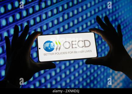 Paraguay. 01 août 2024. Dans cette illustration photo, le logo de l'Organisation de coopération et de développement économiques (OCDE) est affiché sur l'écran d'un smartphone. Crédit : SOPA images Limited/Alamy Live News Banque D'Images