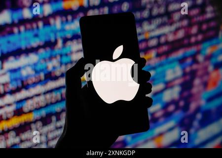 Paraguay. 01 août 2024. Dans cette illustration photo, le logo Apple est affiché sur l'écran d'un smartphone. (Photo de Jaque Silva/SOPA images/SIPA USA) *** strictement à des fins éditoriales *** crédit : SIPA USA/Alamy Live News Banque D'Images