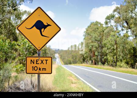 Panneau d'avertissement kangourou Darling Downs Queensland Australie // DARLING DOWNS, Queensland, Australie — Un panneau d'avertissement kangourou se dresse le long d'une route dans la région de l'outback des Darling Downs. Le signe distinctif en forme de losange jaune avertit les conducteurs de la présence potentielle de kangourous, un spectacle courant dans cette zone rurale du sud-est du Queensland. Banque D'Images
