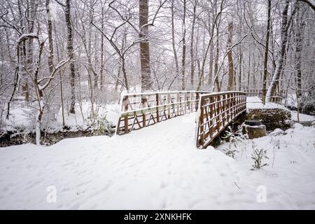 ARLINGTON, Virginie, États-Unis — Une scène hivernale enneigée à Rock Spring Park capture la beauté sereine d'Arlington, en Virginie. Le parc, recouvert de neige, met en valeur le paysage hivernal tranquille et pittoresque, invitant les visiteurs à profiter des activités de plein air et de la beauté naturelle de la saison. Banque D'Images