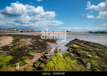 Vue sur la plage d'Elie avec la marée vers le grenier sur le port et le Ship Inn à Elie Fife Écosse Banque D'Images