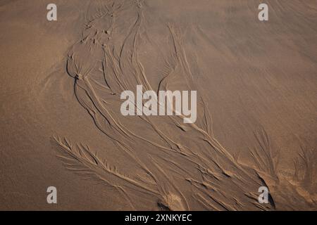 Natures motifs de sable sur la plage après que la marée est sortie à Freshwater West Beach Pembrokeshire, pays de Galles, Royaume-Uni Banque D'Images