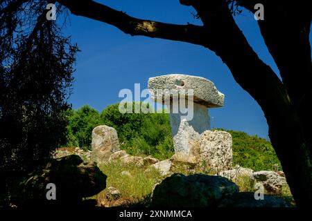 Taula de sa Torreta (Tour Blanche), Parc Natural de s' Albufera des Grau, Minorque, réserve de biosphère, Îles Baléares, Espagne Banque D'Images