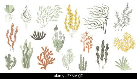 Récif corallien ou algues vecteurs plantes sous-marines Illustration de Vecteur