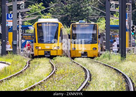 Stadtbahnen der Stuttgarter Straßenbahnen AG, SSB, unterwegs, Stuttgart. // 29.07.2024 : Stuttgart, Bade-Württemberg, Deutschland *** véhicules légers sur rail de Stuttgarter Straßenbahnen AG, SSB, en déplacement à Stuttgart 29 07 2024 Stuttgart, Bade-Württemberg, Allemagne Banque D'Images
