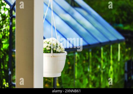 Vue sur le jardin de la villa avec pot de fleurs suspendues de chrysanthèmes blancs suspendus à un poteau de patio, sur fond de serre. Banque D'Images