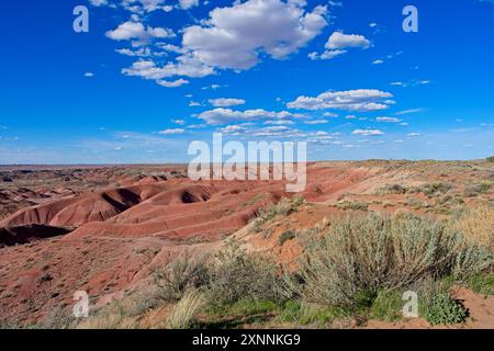 Paysage nuageux dynamique sur les badlands de teinte rouge du désert peint dans le nord-est de l'Arizona Banque D'Images