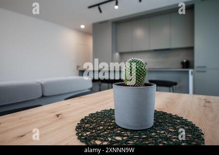 Fleur de cactus verte sur la table. Intérieur de cuisine floue en arrière-plan. Domicile. Grand angle Banque D'Images