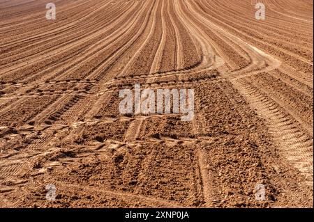 Tracteur traîne dans un champ agricole belge. Banque D'Images