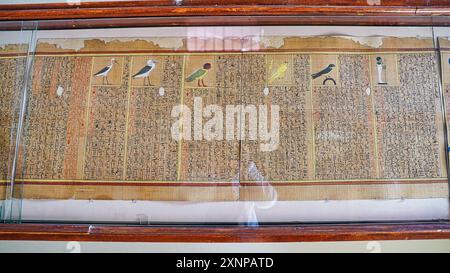 Le Caire, Egypte, 31 décembre 2019-Papyrus bien conservé mesurant 19 mètres contenant des vers du livre des morts de la tombe de Yuya et Thuya au Musée des antiquités égyptiennes au Caire, Egypte Banque D'Images