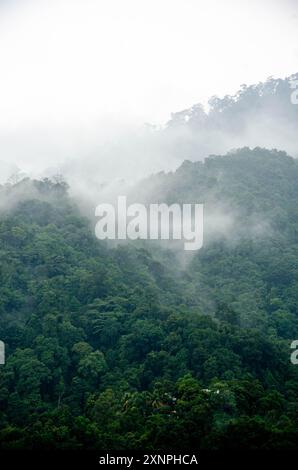 Nuages roulant sur une colline boisée à Penang, Malaisie Banque D'Images