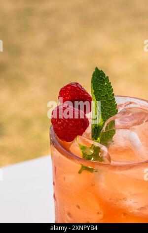 Un gros plan d'un cocktail rafraîchissant d'été avec une garniture de framboises et de menthe par une journée ensoleillée Banque D'Images