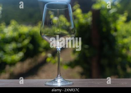 Un verre à vin, vide sur une table en bois devant les vignes, attend la maturation des raisins et la dégustation. Foyer sélectionné. Haute qualité Banque D'Images