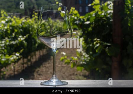 Un verre à vin, vide sur une table en bois devant les vignes, attend la maturation des raisins et la dégustation. Foyer sélectionné. Haute qualité Banque D'Images