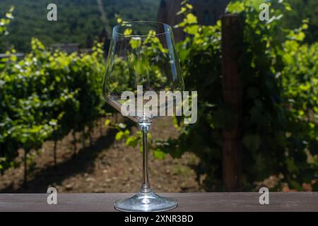 Un verre à vin, vide sur une table en bois devant les vignes, attend la maturation des raisins et la dégustation. Foyer sélectionné. Haute qualité Banque D'Images