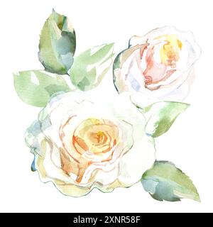 Roses blanches avec des feuilles vertes dans les fleurs de jardin de collection. Illustration aquarelle pour la conception florale de mariage de bouquets, couronnes, arrangements Banque D'Images