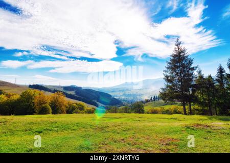 paysage de campagne montagneux de transcarpathie, ukraine. vue sur la vallée rurale vallonnée depuis la prairie herbeuse. arbres sur la colline des carpates Banque D'Images