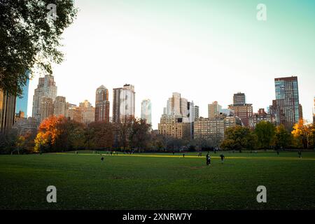 Les gens apprécient Sheep's Meadow à Central Park New York pendant l'automne Banque D'Images