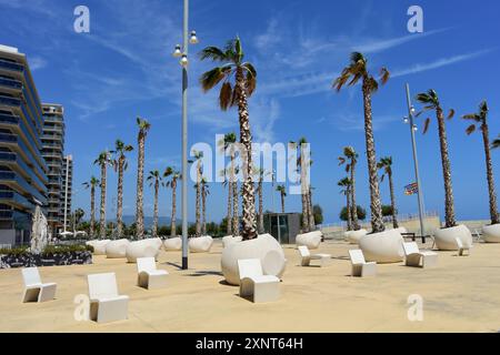 Palmiers dans un pot. Badalona, Catalogne, Espagne. Banque D'Images