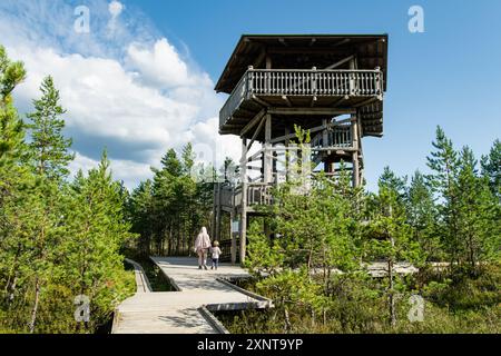 Plate-forme d'observation dans la tourbière Viru, l'une des plus célèbres tourbières situées dans le parc national de Lahemaa, Estonie. Un écosystème de zones humides unique soutient des lifs sauvages diversifiés Banque D'Images