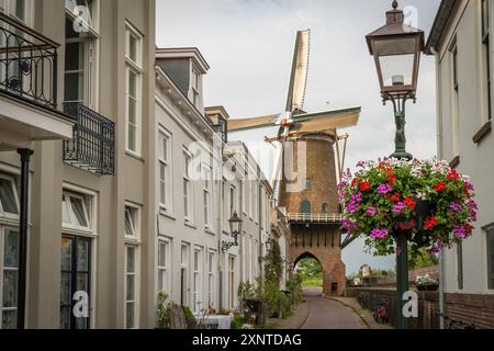 Paysage avec moulin à vent hollandais à Wijk bij Duurstede, le seul moulin à vent drive-in dans le monde Banque D'Images