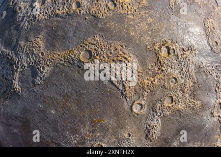 Motifs lunaires complexes mis en évidence par des cratères et des textures rugueuses. Parfait pour le matériel éducatif et les efforts créatifs dans les thèmes spatiaux. Banque D'Images