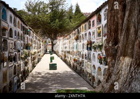 Paisible chemin du cimetière entre des tombes décorées sous un grand arbre. Fleurs et verdure rehaussent l'atmosphère solennelle. Banque D'Images