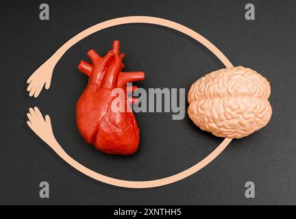 Représentation visuelle du cœur et du cerveau, illustrant le lien entre émotions et intellect. Symbolise l'équilibre dans la santé et la prise de décision. Banque D'Images