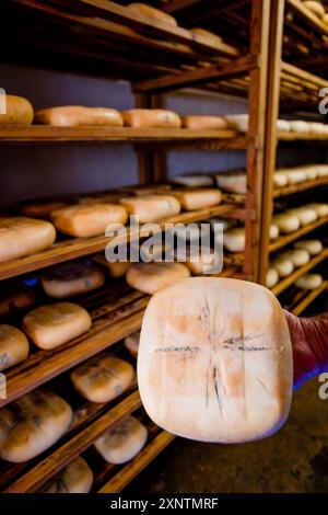 Fromage bio Mahones, Algendaret, Minorque, Îles Baléares, Espagne, Europe Banque D'Images