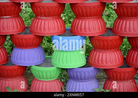 Pot de ciment coloré pour les plantes en Kerala Inde décoration des pots dans la porte et à l'extérieur de la maison Banque D'Images