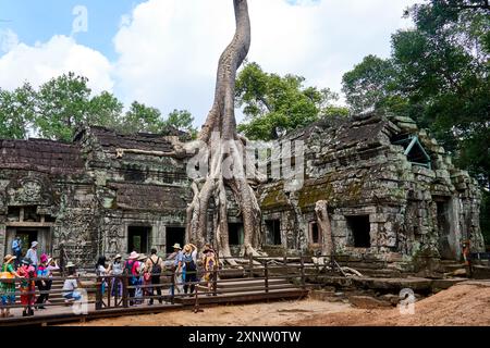 Un groupe de touristes explorant l'ancien temple d'Angkor Thom au Cambodge, avec des racines d'arbres géantes recouvrant les ruines. Capturer l'architecture historique Banque D'Images