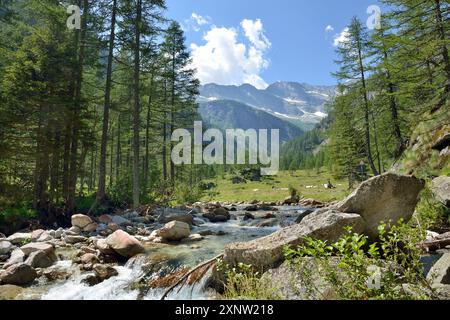 Parc naturel alta valle Antrona (haute vallée d'Antrona), ruisseau Troncone dans la nature sauvage Banque D'Images