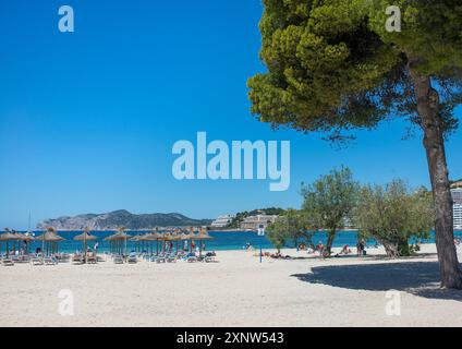 Plage de Santa Ponsa, Majorque, Baléares, Espagne Banque D'Images