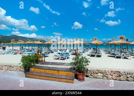 Palma Nova Beach, Majorque, Baléares, Espagne Banque D'Images