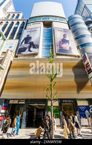 Vue en angle bas du magasin Ginza Prada, depuis l'entrée vers le toit et le ciel bleu avec un jeune arbre devant. Les gens qui passent devant sous le soleil. Banque D'Images