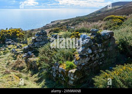 Ruines d'un bâtiment dans l'ancien village de déminage de Badbea, Caithness, Écosse, Royaume-Uni, Banque D'Images