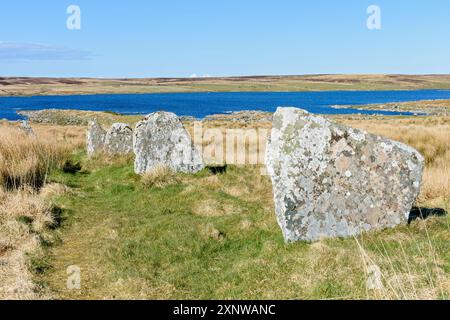 Les Achavanich Standing Stones, près de Lybster, Caithness, Écosse, Royaume-Uni. Derrière se trouve Loch Stemster. Banque D'Images