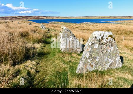 Les Achavanich Standing Stones, près de Lybster, Caithness, Écosse, Royaume-Uni. Derrière se trouve Loch Stemster. Banque D'Images