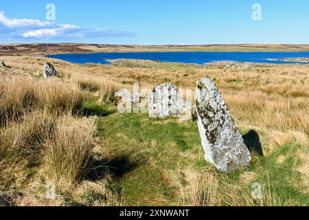 Les Achavanich Standing Stones, près de Lybster, Caithness, Écosse, Royaume-Uni. Derrière se trouve Loch Stemster. Banque D'Images