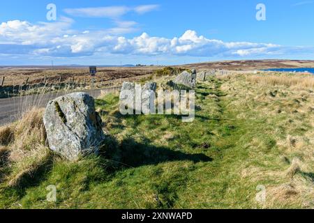 Le Achavanich Mégalithes, près de Cuba, Caithness, Ecosse, Royaume-Uni Banque D'Images