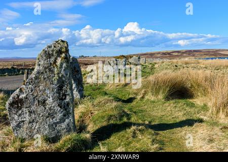 Le Achavanich Mégalithes, près de Cuba, Caithness, Ecosse, Royaume-Uni Banque D'Images