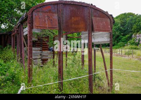 Cadre de wagon rouillé abandonné dans un champ de chevaux luxuriant et envahi par la végétation visible et les arbres en arrière-plan. Banque D'Images