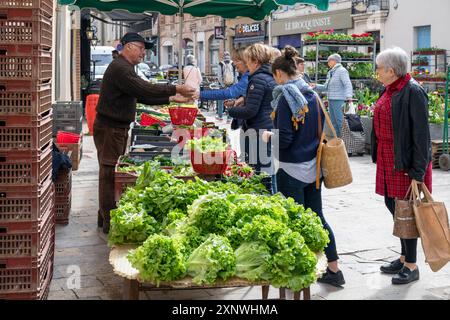 France, région Occitanie, Gaillac, Market Day sur la place du Griffoul (place du centre-ville) avec un commerçant vendant des fruits et légumes frais Banque D'Images