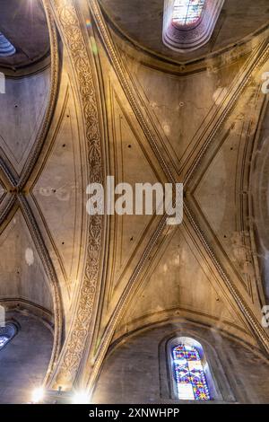 France, région Occitanie, Gaillac, intérieur de l'église Saint-Pierre (église Saint-Pierre) avec détail du plafond de la nef Banque D'Images